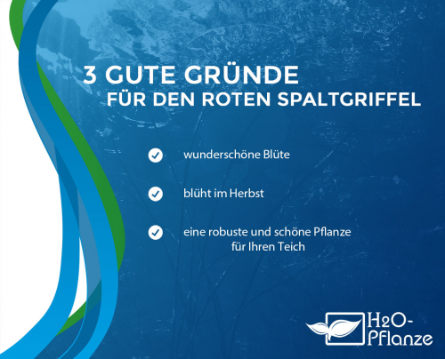Kaufgründe